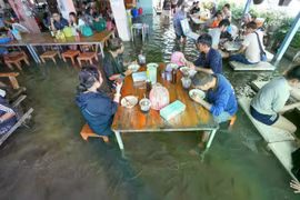 Trước đây, ngập lụt khiến bà lo ngại mất khách, nhưng một bài đăng về cảnh cá bơi dưới chân khách đã lan truyền mạnh, biến nơi này thành điểm check-in độc đáo.