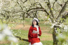 Mộc Châu lần 3 được World Travel Awards gọi tên, thu hút du khách quốc tế