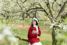 Mộc Châu lần 3 được World Travel Awards gọi tên, thu hút du khách quốc tế