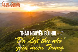 Thảo nguyên Bùi Hui - 'Đà Lạt thu nhỏ giữa miền Trung'