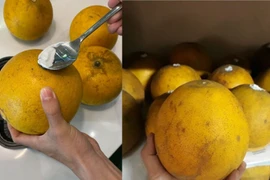 Bí quyết giữ bưởi Diễn tươi lâu, càng để càng ngọt thơm suốt Tết