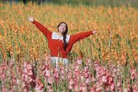 Lỡ mùa Tết, cánh đồng hoa lay ơn bên đèo Mimosa bất ngờ thành điểm sống ảo