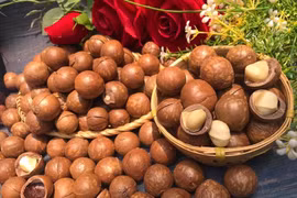 Loại hạt được ví như 'vàng mềm' giàu chất béo, giúp khỏe từ trong ra ngoài