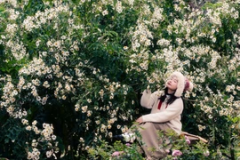 Những bông hoa mang vẻ đẹp nhẹ nhàng, rất phù hợp để tạo nên những khung hình nghệ thuật. Dưới ánh sáng dịu buổi sáng sớm hoặc khi sương vẫn còn lãng đãng, sắc trắng của hoa càng thêm thơ mộng. Chỉ cần đứng giữa vườn hoa, du khách đã có bức ảnh gợi lên cảm giác thanh bình, khác hẳn vẻ náo nhiệt ở trung tâm thành phố. Ảnh Bánh gạo