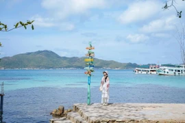 Trải nghiệm làm ngư dân ở Nam Du bắt mực, kéo lưới giữa khơi