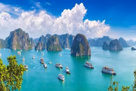 Lưu ý an toàn quan trọng khi tham gia tour tàu du lịch