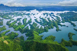 Mùa thu ghé thăm 5 điểm check-in nổi bật, sống ảo và tận hưởng thiên nhiên