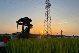 Độc đáo quán cà phê giữa đồng lúa xanh ở Thái Bình