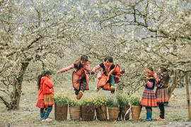 Theo đánh giá của Time Out, Việt Nam không chỉ thu hút ở mùa hè mà còn trở thành điểm đến hấp dẫn vào mùa đông. Ảnh Vietravel