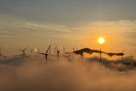 5 tọa độ săn mây đẹp như tranh ở Khe Sanh khiến du khách mê mẩn