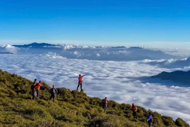 Với người mới hoặc nhóm ít kinh nghiệm, hình thức đi cùng porter địa phương hoặc tour trọn gói được xem là an toàn hơn. Tour porter giúp giảm gánh nặng hậu cần với mức chi phí vừa phải, trong khi tour trọn gói phù hợp cho người lần đầu leo núi nhờ lịch trình khép kín, có đội ngũ dẫn đường và phương án xử lý sự cố.