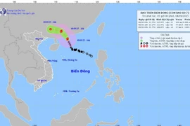 Tin mới nhất cơn bão số 7 Tapah giật cấp 13 trên Biển Đông