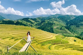 Hành trình 4 ngày vi vu Hoàng Su Phì – Mù Cang Chải trọn vẹn mùa vàng Tây Bắc