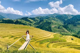 Hành trình 4 ngày vi vu Hoàng Su Phì – Mù Cang Chải trọn vẹn mùa vàng Tây Bắc