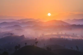 Đồi chè Long Cốc hút khách với cảnh sắc như tranh vẽ