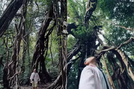 4 tọa độ sống ảo tuyệt đẹp ở Vườn Quốc gia Nam Cát Tiên khiến du khách say mê