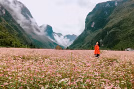 Thưởng thức món ăn độc đáo khi đến Tuyên Quang mùa tam giác mạch