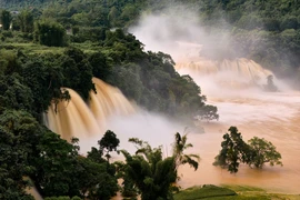 Cơ quan chức năng khuyến cáo du khách không tiếp cận mép thác, bờ sông hoặc khu vực ngập nước, đồng thời theo dõi thường xuyên thông báo từ Ban quản lý và chính quyền địa phương. Ảnh Thái Dương AC