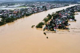 Các bộ, ngành và 14 địa phương chủ động, quyết liệt ứng phó với bão số 11