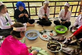 Mường Cúc điểm hẹn đầu năm giữa hồn lúa và tầng mây trắng