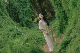 Rừng tràm rêu phong giữa Khánh Hòa hút khách du lịch trẻ