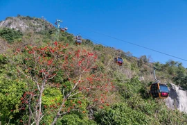Núi Bà Đen vào mùa hoa vông nem, tour tham quan chỉ từ 700.000 đồng