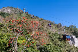 Núi Bà Đen vào mùa hoa vông nem, tour tham quan chỉ từ 700.000 đồng