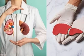 5 loại trái cây 'vàng' giúp gan thận khỏe mạnh