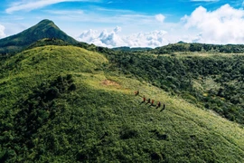 Trekking Pa Thiên Voi Mẹp chinh phục 'nóc nhà xanh' của Quảng Trị 