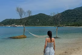 Vịnh Ninh Vân có gì mà khiến du khách mê mẩn?