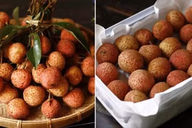 Mẹo bảo quản vải tươi cả tháng, ăn dần sau mùa thu hoạch