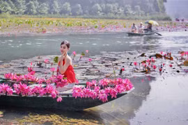 Ngắm mùa hoa súng nở rộ, khám phá nét thu lãng mạn ở Ninh Bình