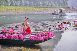 Ngắm mùa hoa súng nở rộ, khám phá nét thu lãng mạn ở Ninh Bình