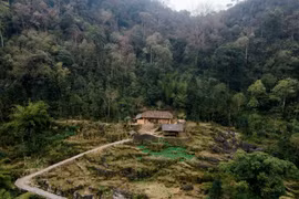 Ngôi làng H’Mông ẩn sâu trong sương mù cao nguyên đá Tuyên Quang