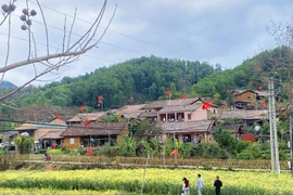 Khám phá ngôi làng cổ Bắc Hoa với 17 căn nhà trình tường độc đáo