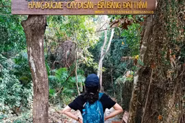 Chinh phục rừng già Côn Đảo, đắm mình trong vẻ đẹp thuần khiết của Đất Thắm