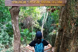 Chinh phục rừng già Côn Đảo, đắm mình trong vẻ đẹp thuần khiết của Đất Thắm