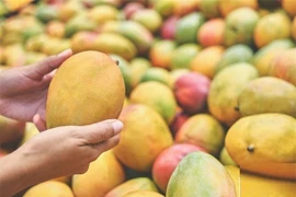 Mua xoài áp dụng 5 chiêu này, đảm bảo ngọt lịm