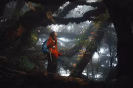 Lạc vào rừng rêu Phu Sa Phìn chốn mộng giữa đại ngàn Tây Bắc