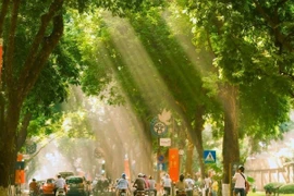 Food tour mùa thu Hà Nội ăn gì để 'say' hương vị Thủ đô?