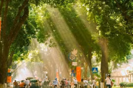 Food tour mùa thu Hà Nội ăn gì để 'say' hương vị Thủ đô?