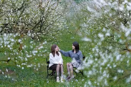 Du lịch Mộc Châu mùa đông những điểm đến không thể bỏ lỡ