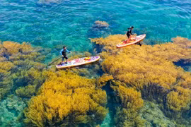 Đến Nhơn Hải, thả dáng giữa cánh đồng rong mơ kỳ ảo