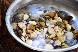 Mẹo ngâm ngao sạch bùn cát cực nhanh, không cần nước muối