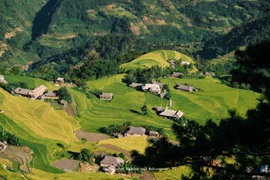 Ngẩn ngơ trước vẻ đẹp đổi sắc theo mùa ở Bản Phùng