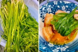 Du lịch miền Tây mùa nước nổi, 6 món dân dã nhưng khiến du khách say lòng