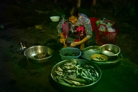 Với du khách yêu thích trải nghiệm độc đáo, ghé chợ Tha La vào những đêm mùa nước nổi sẽ là dịp để cảm nhận trọn vẹn nhịp sống miền Tây: bình dị nhưng đầy sức sống. Giữa nhịp sống hiện đại, chợ vẫn giữ được nét chân chất, mộc mạc và trở thành một phần ký ức khó quên của những ai từng đặt chân đến An Giang. Ảnh Long Hồ