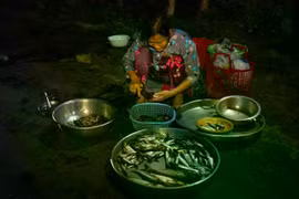 Với du khách yêu thích trải nghiệm độc đáo, ghé chợ Tha La vào những đêm mùa nước nổi sẽ là dịp để cảm nhận trọn vẹn nhịp sống miền Tây: bình dị nhưng đầy sức sống. Giữa nhịp sống hiện đại, chợ vẫn giữ được nét chân chất, mộc mạc và trở thành một phần ký ức khó quên của những ai từng đặt chân đến An Giang. Ảnh Long Hồ