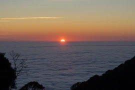 Đỉnh Sa Mu – U Bò có gì hấp dẫn khiến dân trekking săn đón?