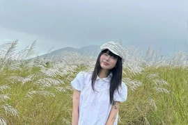 Đà Nẵng mùa cỏ lau trắng tinh khôi, du khách nô nức check-in